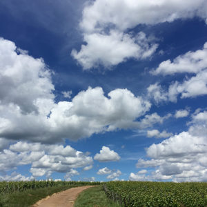 Holiday: Crowd Pleasers Trio