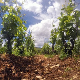 BD17: Trio de Chambolle