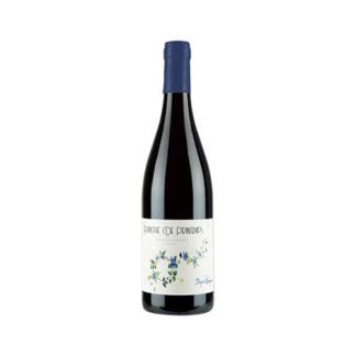 Dupré-Goujon Côte de Brouilly “Equinox” 2024