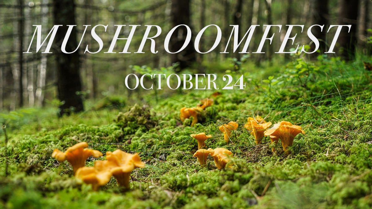 MushroomFest